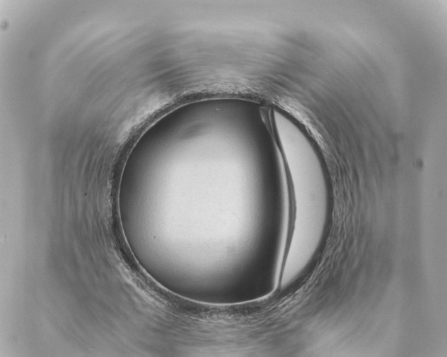 X0000088620677200706221456