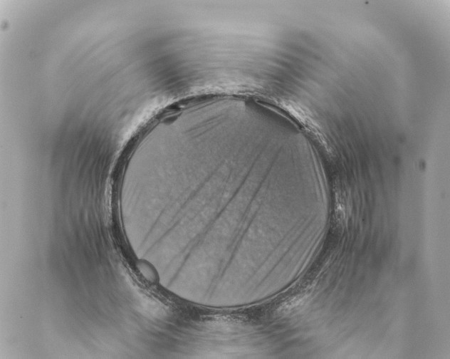 X0000088620678200706221456