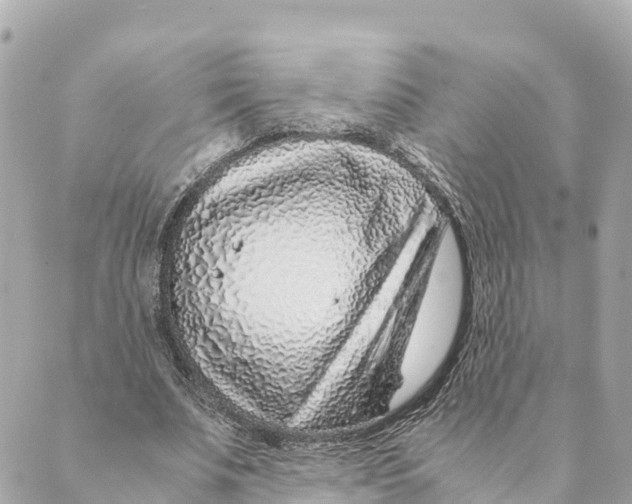 X0000088620679200706221456