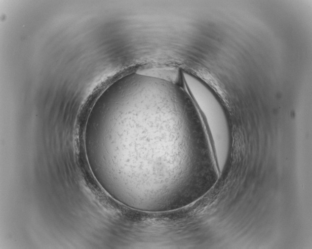 X0000088620680200706221456