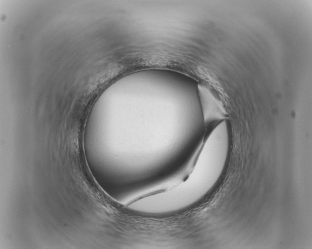 X0000088620681200706221456