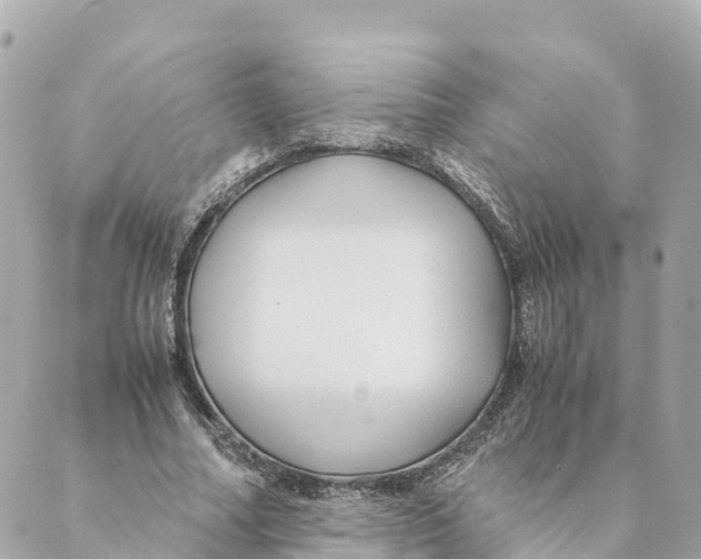 X0000088620682200706221456