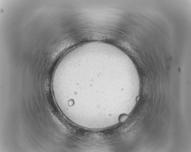 X0000088620683200706221456