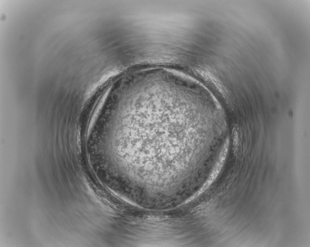 X0000088620684200706221456