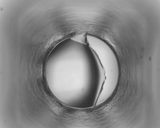 X0000088620685200706221456