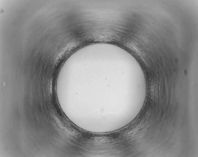 X0000088620686200706221456