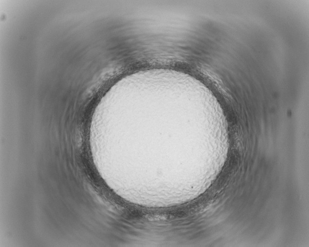 X0000088620687200706221456