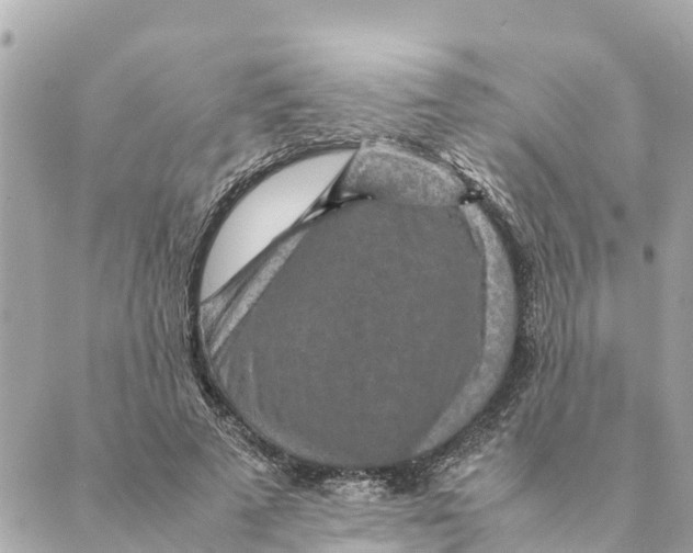 X0000088620689200706221456