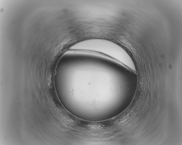 X0000088620693200706221456