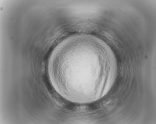 X0000088620695200706221456