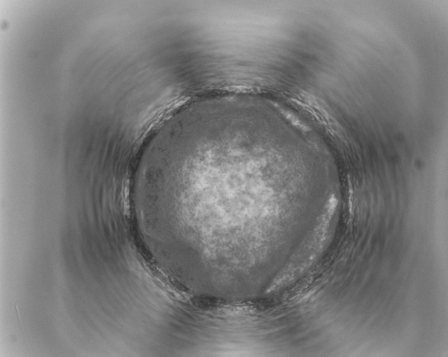 X0000088620696200706221456