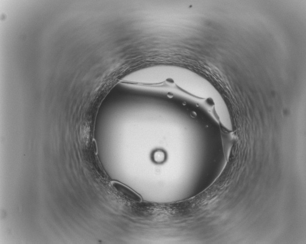 X0000088620697200706221456