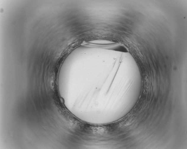 X0000088620698200706221456