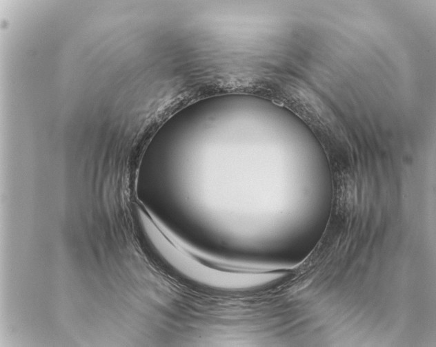 X0000088620700200706221456