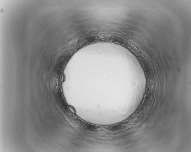 X0000088620703200706221456