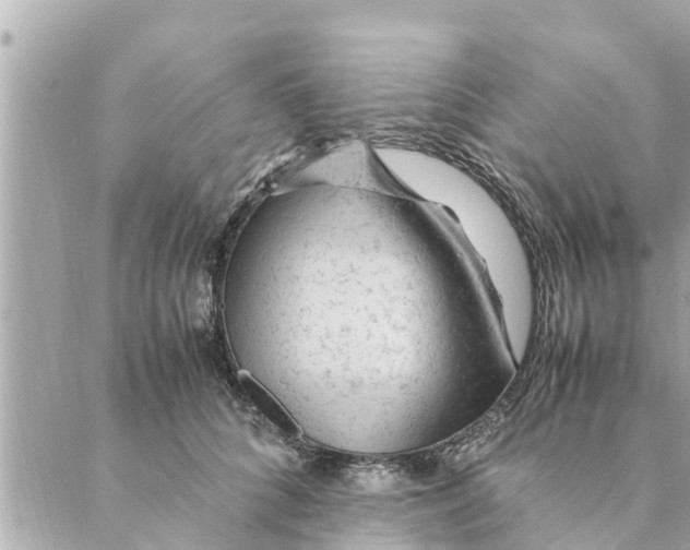 X0000088620704200706221456