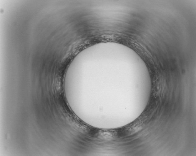 X0000088620706200706221456