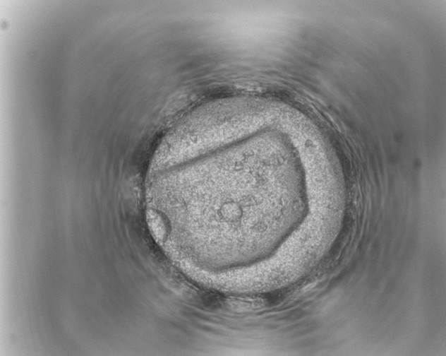 X0000088620707200706221456