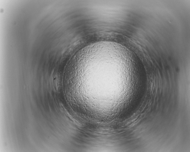 X0000088620708200706221455