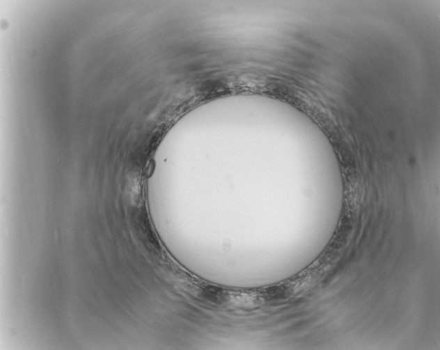 X0000088620709200706221455