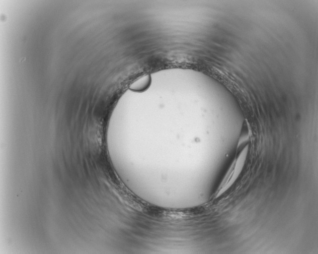 X0000088620710200706221455