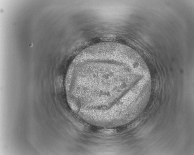 X0000088620711200706221455