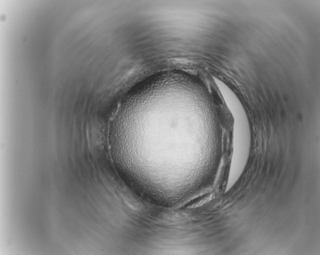 X0000088620712200706221455