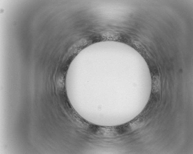 X0000088620713200706221455