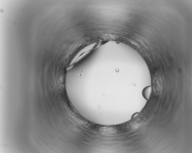 X0000088620714200706221455