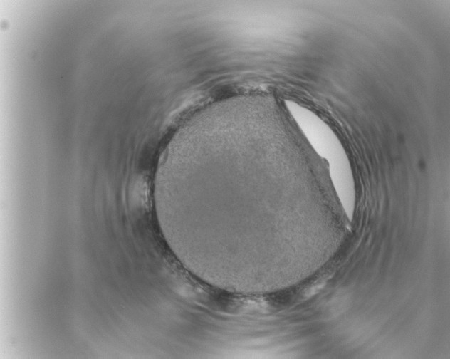 X0000088620715200706221455