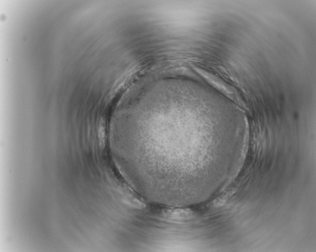 X0000088620716200706221455