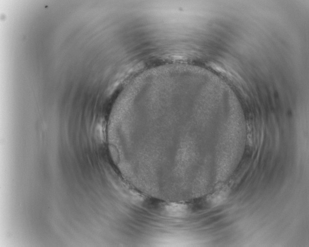 X0000088620718200706221455