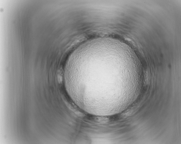 X0000088620719200706221455