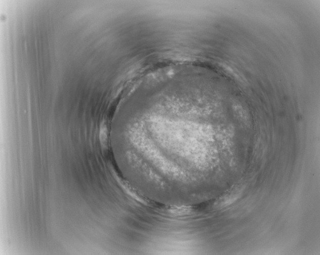 X0000088620720200706221455