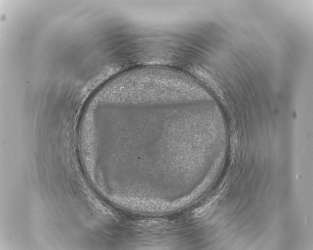 X0000088620721200706221455