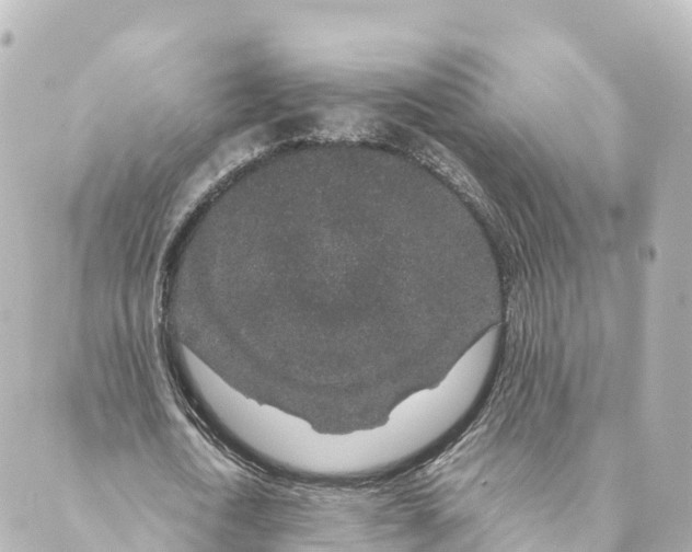 X0000088620722200706221455