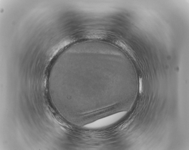 X0000088620723200706221455