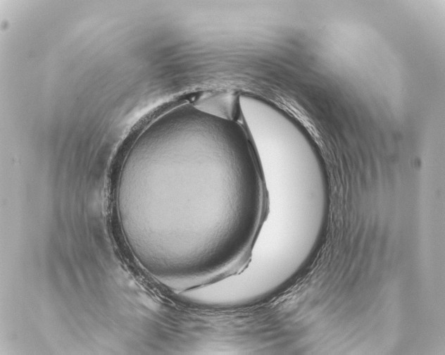 X0000088620724200706221455