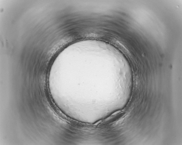 X0000088620725200706221455