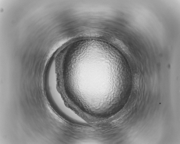 X0000088620726200706221455