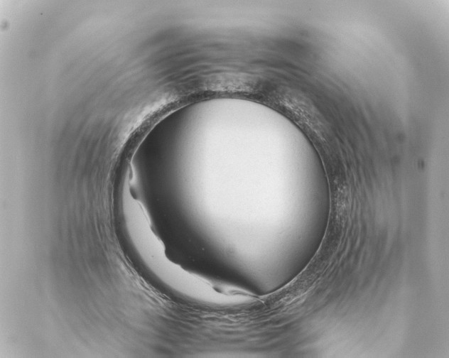 X0000088620727200706221455