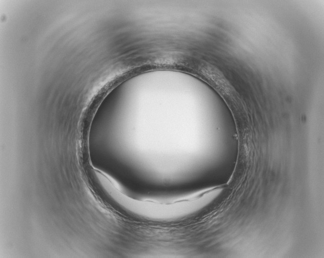 X0000088620728200706221455