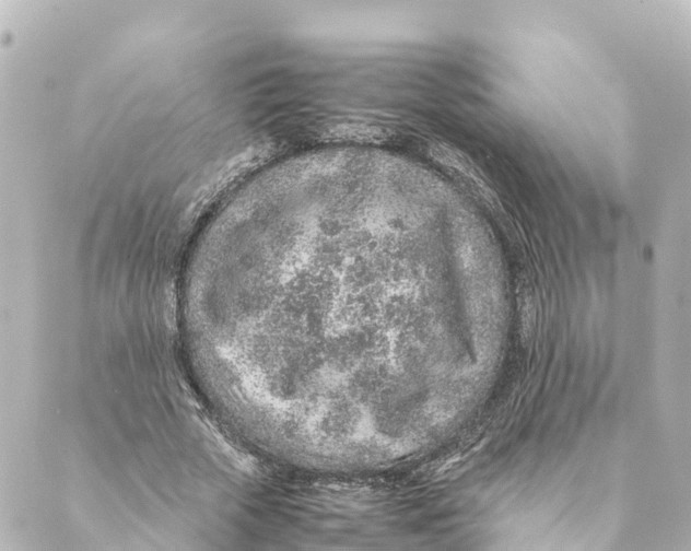 X0000088620729200706221455