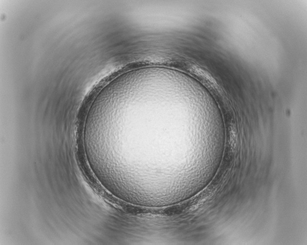 X0000088620730200706221455