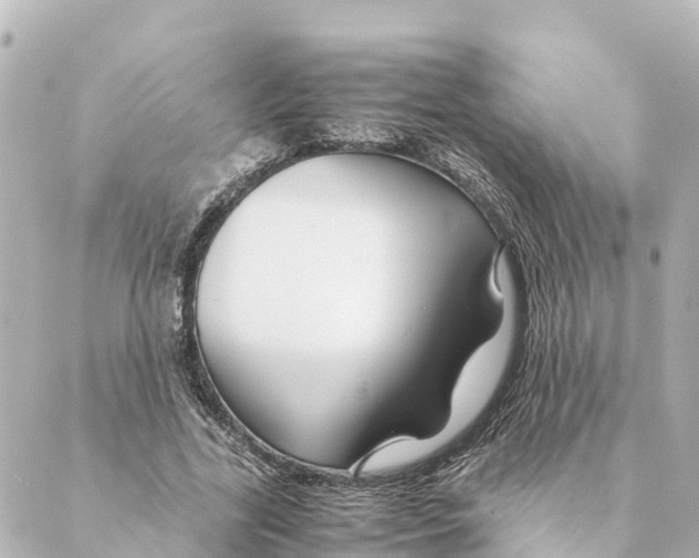 X0000088620731200706221455