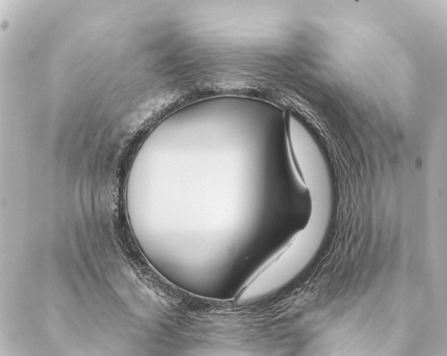 X0000088620732200706221455