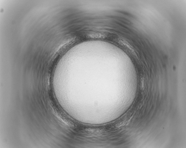 X0000088620733200706221455