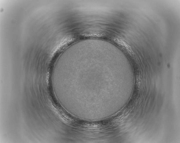 X0000088620735200706221455