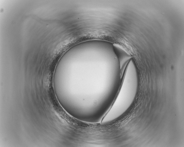 X0000088620736200706221455