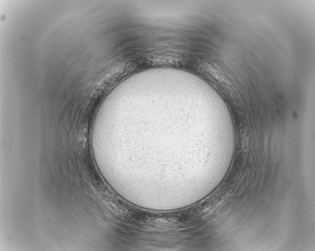 X0000088620737200706221455